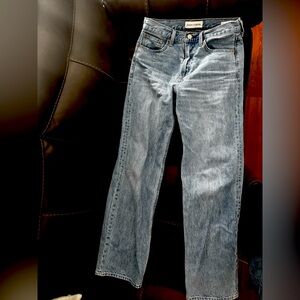 Aritzia Iggy Lo-Rise Baggy Jeans Size 26